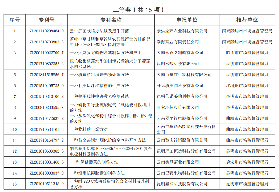 021年云南省专利奖评审结果公示(图2)