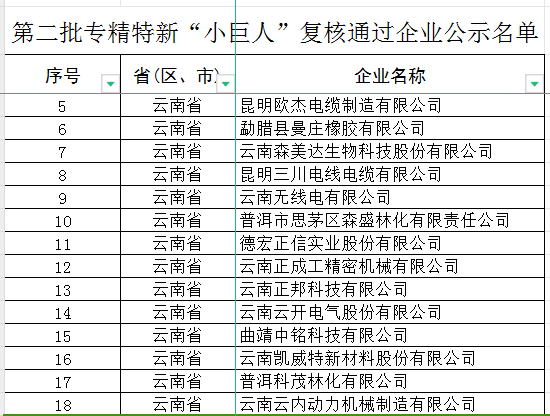 云南省第五批专精特新“小巨人”企业和第二批专精特新“小巨人”复核通过企业(图2)