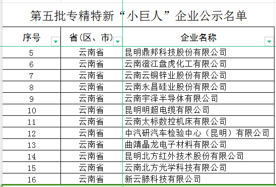 云南省第五批专精特新“小巨人”企业和第二批专精特新“小巨人”复核通过企业(图1)